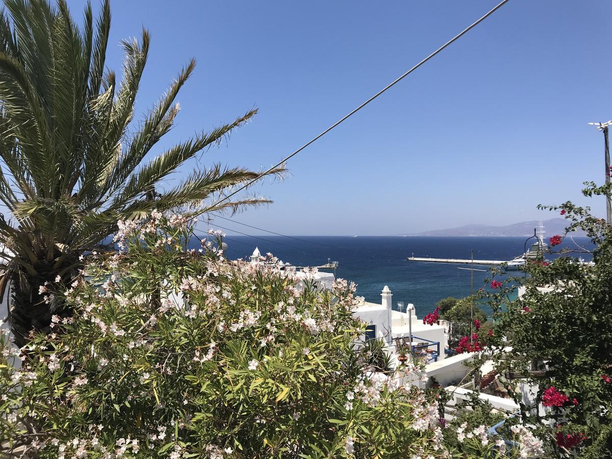 Studios & Suites Rania Mykonos Town Eksteriør bilde